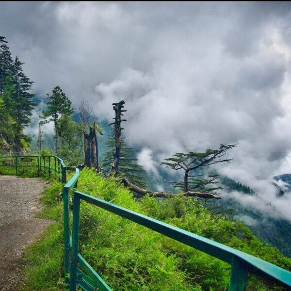 nathia gali