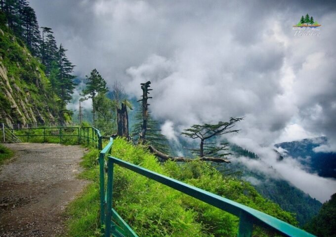 nathia gali
